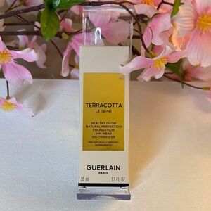 Guerlain Terracotta Le Teint Healthy Glow Natural Perfect 24H Wear Foundation 2N